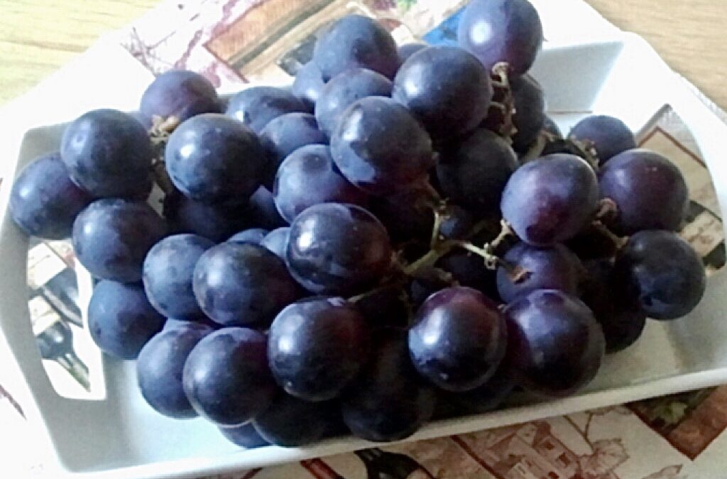 Frankenthaler druiven