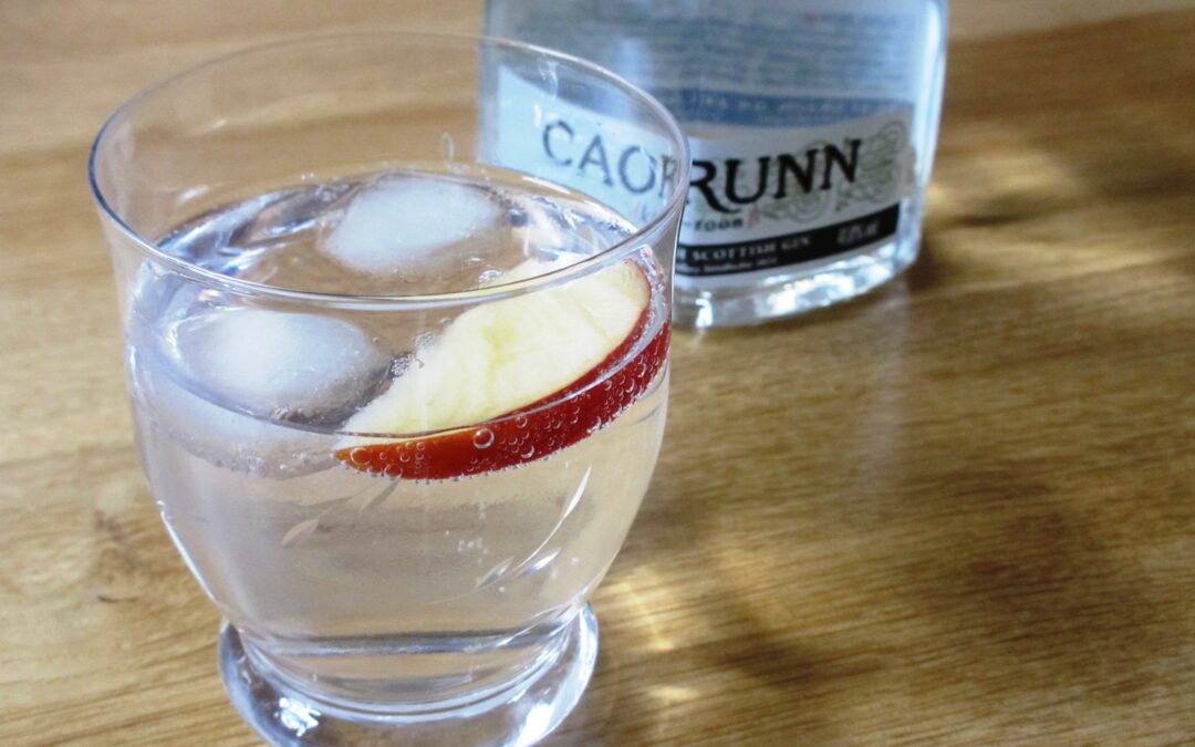 Gin en Tonic revival